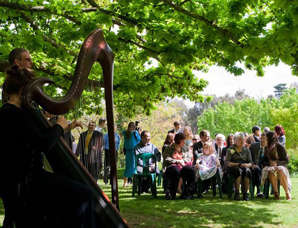 Noosa Wedding Harpist