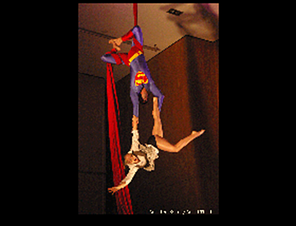 Double Tissue Aerialist Sydney